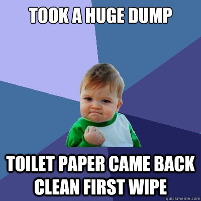 took a huge dump toilet paper came back clean first wipe  Success Kid