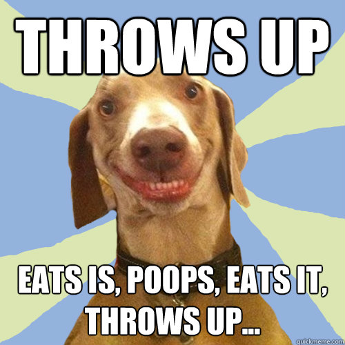 Throws up Eats is, poops, eats it, throws up...  Disgusting Doggy