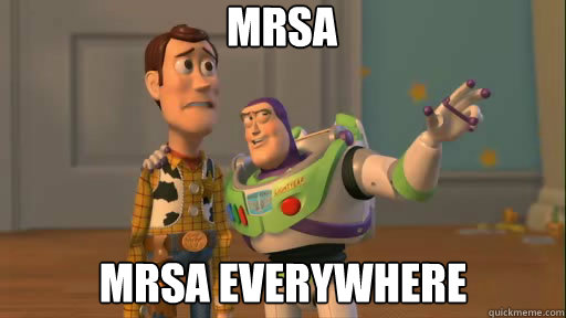 mrsa mrsa everywhere - mrsa mrsa everywhere  Everywhere