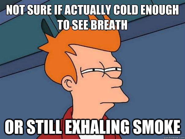 Not sure if actually cold enough to see breath or still exhaling smoke - Not sure if actually cold enough to see breath or still exhaling smoke  Futurama Fry