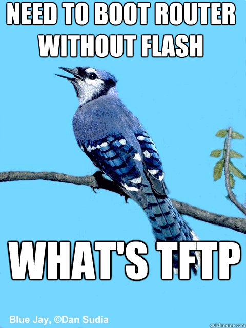 need to boot router without flash What's tftp  Blue Team Bird