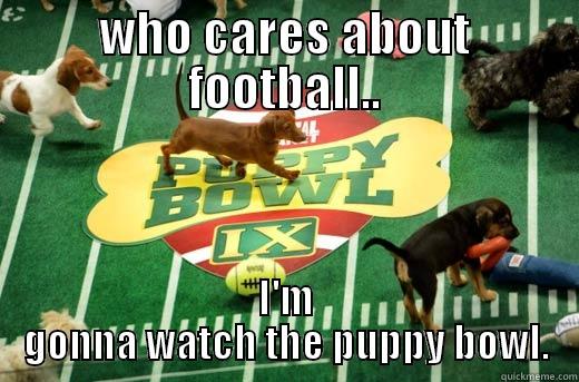 the puppy bowl - WHO CARES ABOUT FOOTBALL.. I'M GONNA WATCH THE PUPPY BOWL. Misc