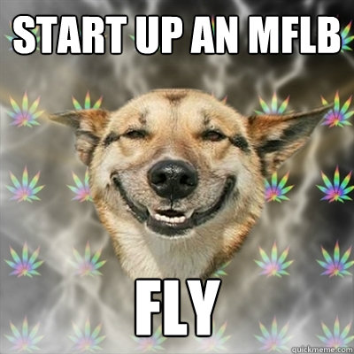 Start up an mflb fly  Stoner Dog