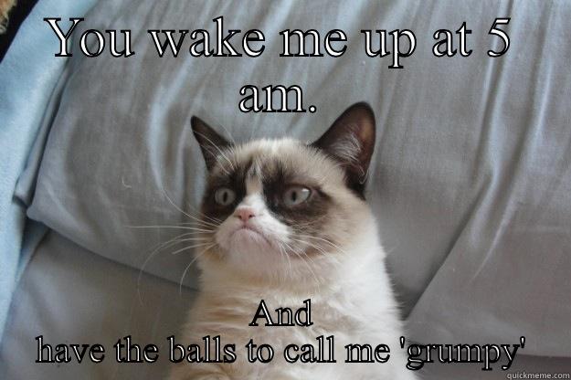 5 am - YOU WAKE ME UP AT 5 AM. AND HAVE THE BALLS TO CALL ME 'GRUMPY' Grumpy Cat