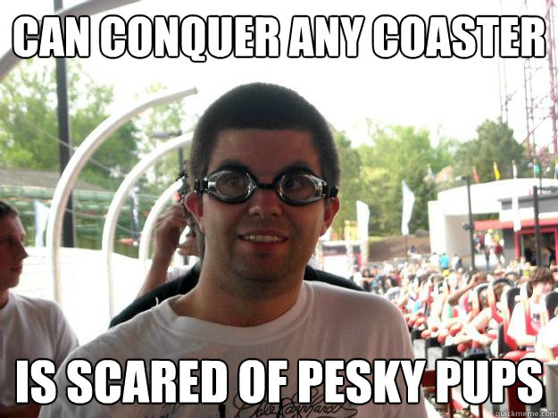 can conquer any coaster is scared of pesky pups  Coaster Enthusiast