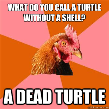 What do you call a turtle without a shell? A dead turtle  Anti-Joke Chicken