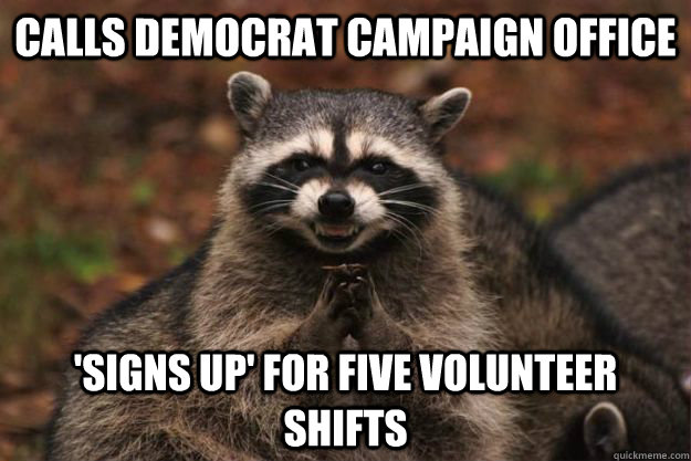 Calls Democrat Campaign Office 'Signs up' for five volunteer shifts  Evil Plotting Raccoon