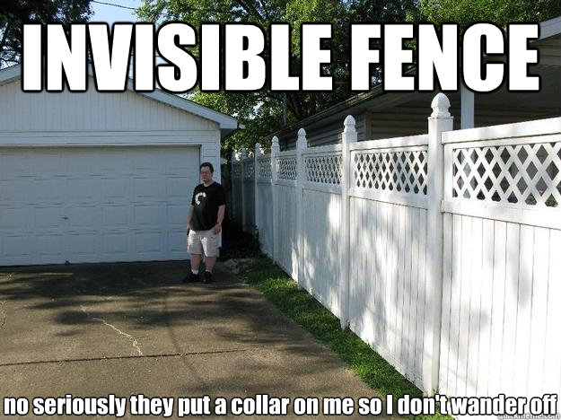 INVISIBLE FENCE no seriously they put a collar on me so I don't wander off - INVISIBLE FENCE no seriously they put a collar on me so I don't wander off  Garage boy