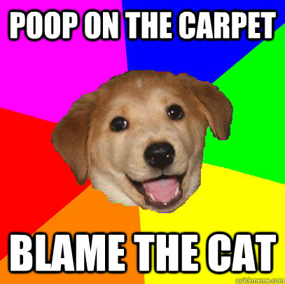 Poop on the carpet Blame the cat  Advice Dog