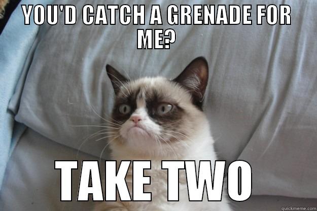 GRUMPY CAT - YOU'D CATCH A GRENADE FOR ME? TAKE TWO Grumpy Cat