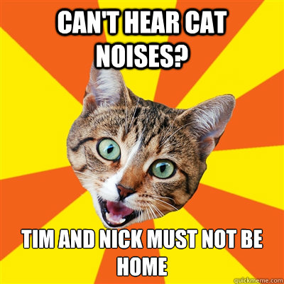 Can't hear cat noises? Tim and nick must not be home  Bad Advice Cat