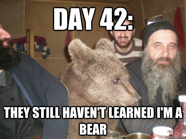 Day 42: They still haven't learned I'm a bear - Day 42: They still haven't learned I'm a bear  Misc