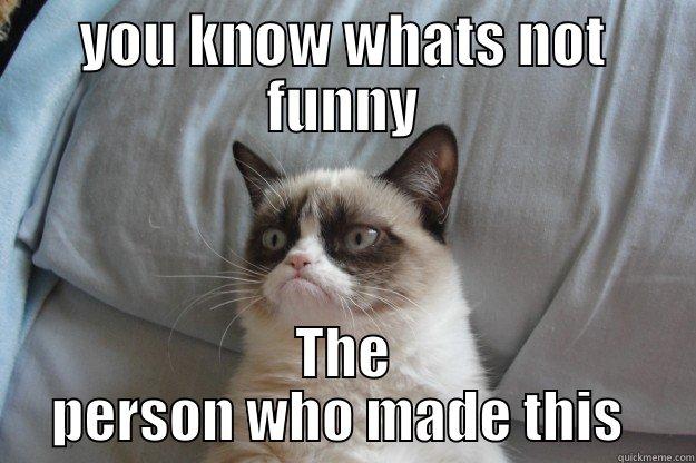 Your face isnt so funny - YOU KNOW WHATS NOT FUNNY THE PERSON WHO MADE THIS  Grumpy Cat