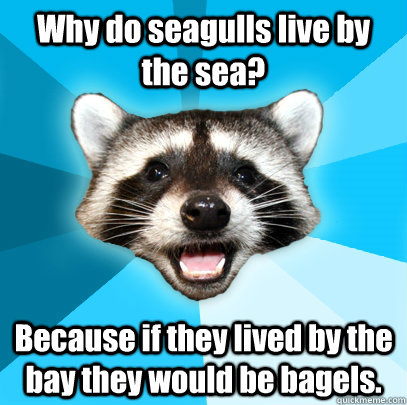 Why do seagulls live by the sea? Because if they lived by the bay they would be bagels.  Lame Pun Coon