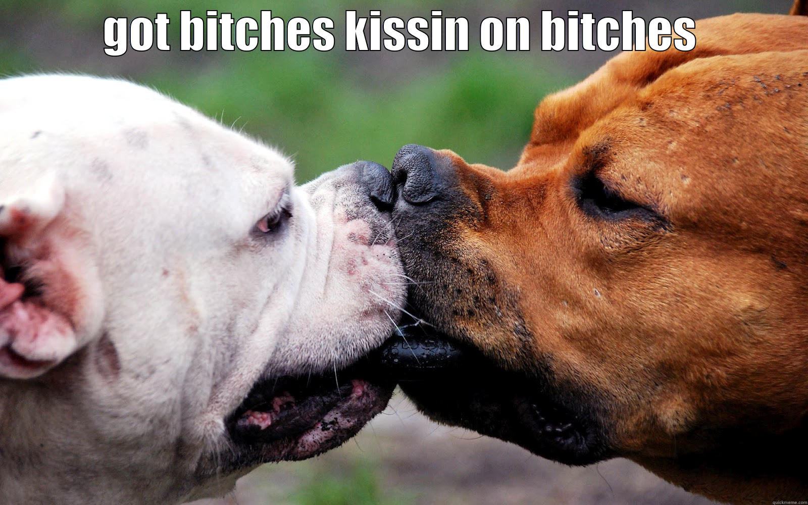 bitches kissin on bitches lol - GOT BITCHES KISSIN ON BITCHES  Misc