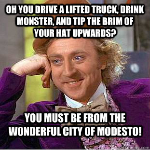 Oh you drive a Lifted Truck, Drink Monster, and Tip the brim of your hat upwards? You must be from the wonderful city of Modesto!  - Oh you drive a Lifted Truck, Drink Monster, and Tip the brim of your hat upwards? You must be from the wonderful city of Modesto!   Condescending Wonka