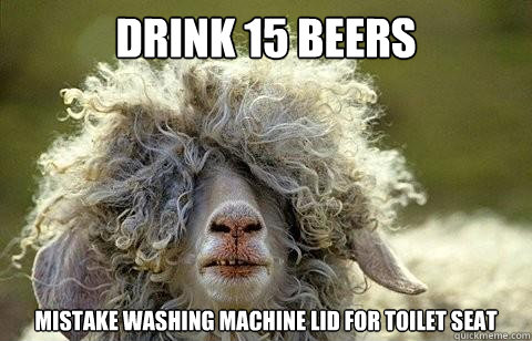 Drink 15 beers mistake washing machine lid for toilet seat  