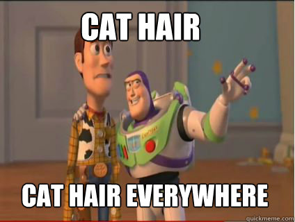 cat hair cat hair everywhere  woody and buzz