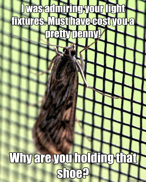 I was admiring your light fixtures. Must have cost you a pretty penny! Why are you holding that shoe? - I was admiring your light fixtures. Must have cost you a pretty penny! Why are you holding that shoe?  Misunderstood Miller Moth