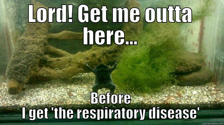 LORD! GET ME OUTTA HERE... BEFORE I GET 'THE RESPIRATORY DISEASE' Misc