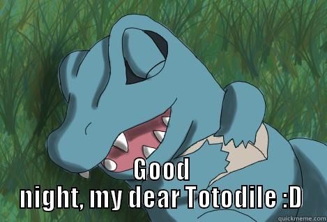 Nite nite -  GOOD NIGHT, MY DEAR TOTODILE :D Misc