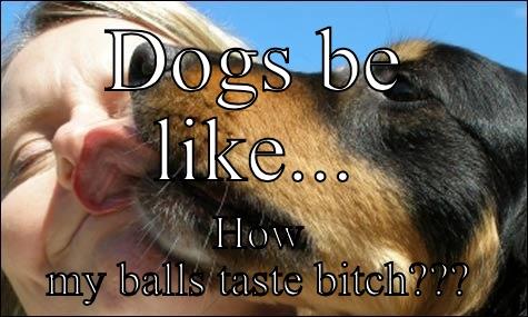 DOGS BE LIKE... HOW MY BALLS TASTE BITCH??? Misc