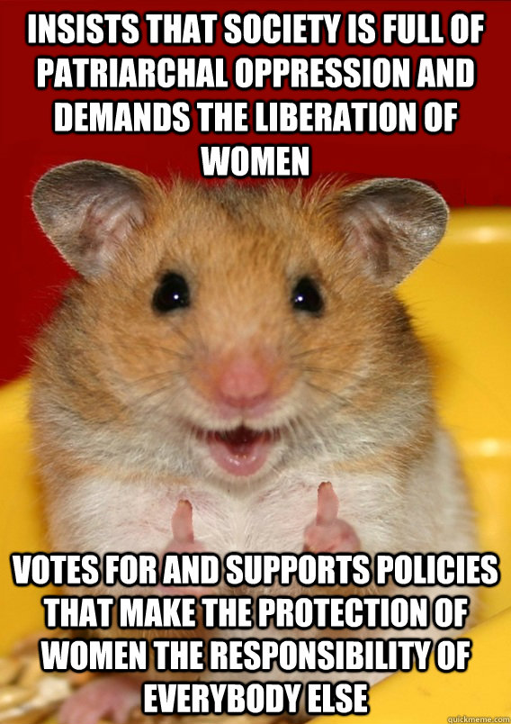 insists that society is full of patriarchal oppression and demands the liberation of women votes for and supports policies that make the protection of women the responsibility of everybody else    Rationalization Hamster