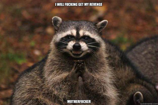 I will FUCKING get my revenge MOTHERFUCKER - I will FUCKING get my revenge MOTHERFUCKER  Evil Plotting Raccoon