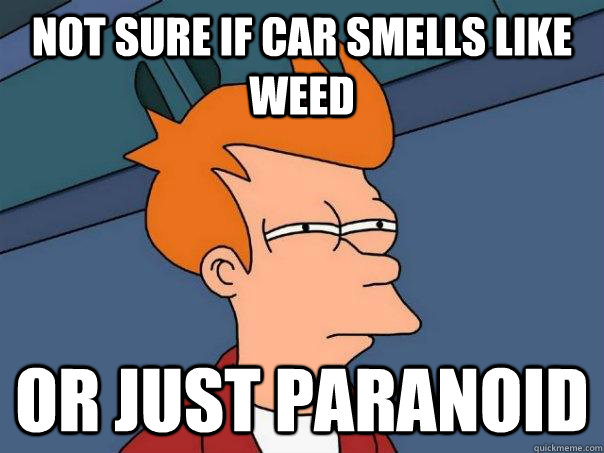 Not sure if car smells like weed Or just paranoid  Futurama Fry