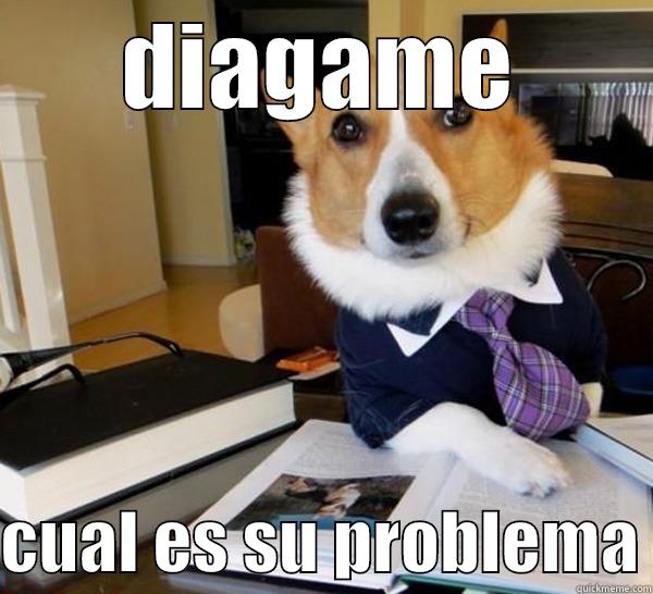 DIAGAME  CUAL ES SU PROBLEMA Lawyer Dog