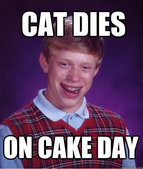 cat dies on cake day - cat dies on cake day  Bad Luck Brian