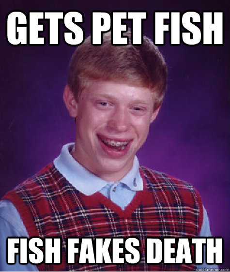 Gets pet fish Fish fakes death  Bad Luck Brian