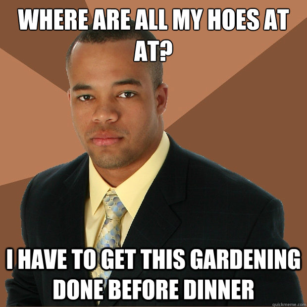 Where are all my hoes at at? I have to get this gardening done before dinner  Successful Black Man