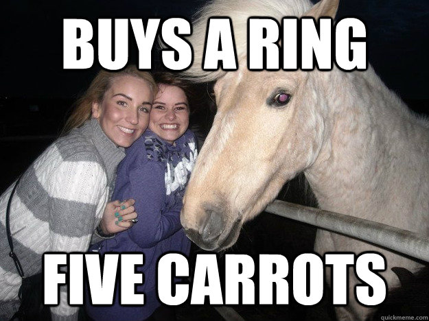 Buys a ring five carrots  Ridiculously Photogenic Horse