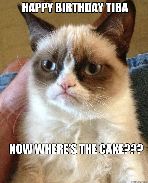 Happy Birthday Tiba Now Where's the cake???  Grumpy Cat