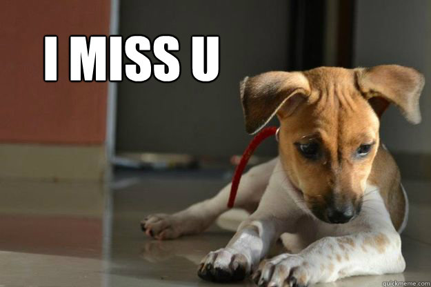 I miss U - I miss U  Deeply Sad Pup