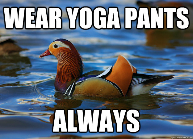 wear yoga pants always  Fashion Advice Mallard