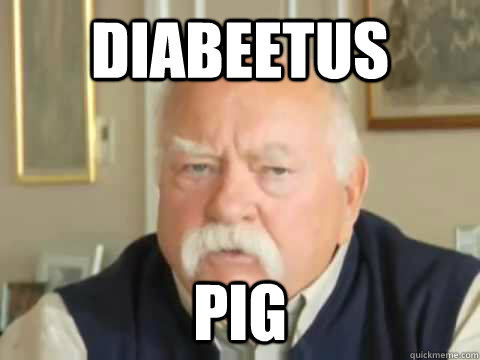 DIABEETUS PIG - DIABEETUS PIG  Misc