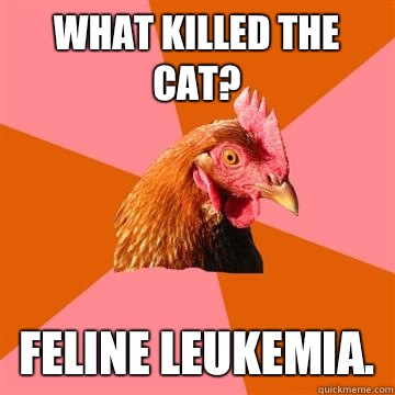 What killed the cat? Feline Leukemia. - What killed the cat? Feline Leukemia.  Anti-Joke Chicken