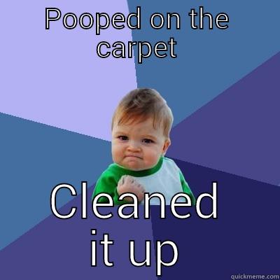 Poopoo baby - POOPED ON THE CARPET CLEANED IT UP Success Kid