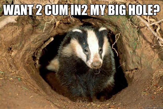 Want 2 cum in2 my big hole?  Sexual innuendo Badger