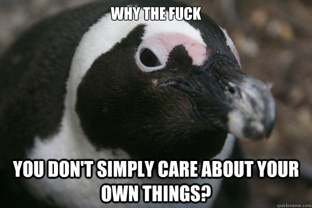 Why the Fuck You don't simply care about your own things?  Annoyed Penguin