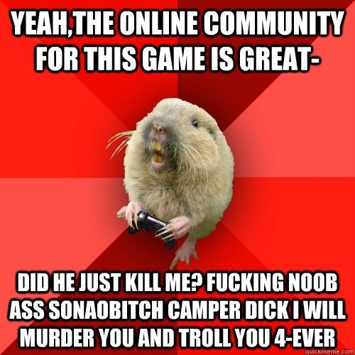 yeah,the online community for this game is great- did he just kill me? FUCKING NOOB ASS SONAOBITCH CAMPER DICK I WILL MURDER YOU and troll you 4-ever  Gaming Gopher