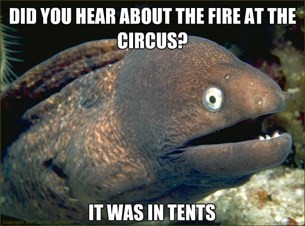 Did you hear about the fire at the circus? It was in tents  Bad Joke Eel