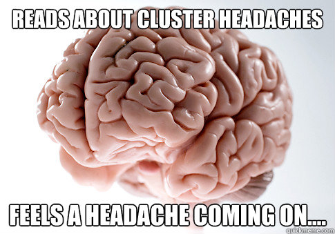 READS ABOUT CLUSTER HEADACHES FEELS A HEADACHE COMING ON.... - READS ABOUT CLUSTER HEADACHES FEELS A HEADACHE COMING ON....  Scumbag Brain