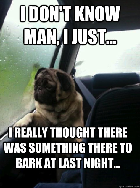 I don't know man, I just... I really thought there was something there to bark at last night...  Introspective Pug