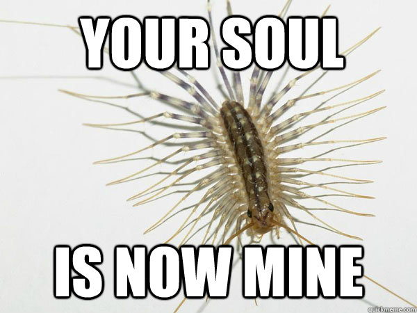 YOUR SOUL IS NOW MINE  House Centipede