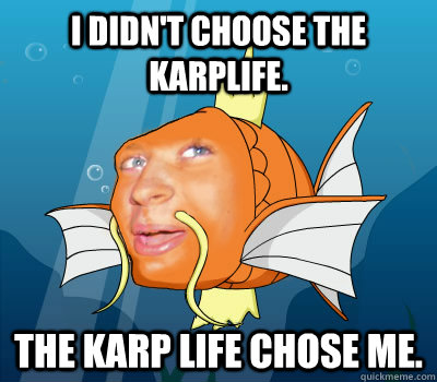 I didn't choose the Karplife. The Karp life chose me. - I didn't choose the Karplife. The Karp life chose me.  Sassy Magikarp