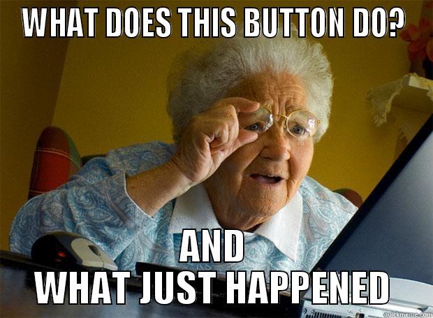 WHAT DOES THIS BUTTON DO? AND WHAT JUST HAPPENED Grandma finds the Internet