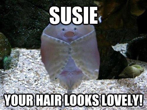 Susie your hair looks lovely!  friendly stingray